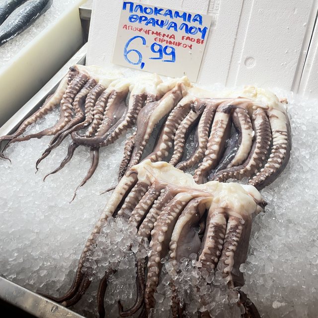 The fish counter
