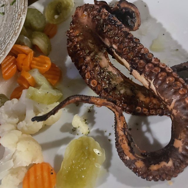 Grilled octopus