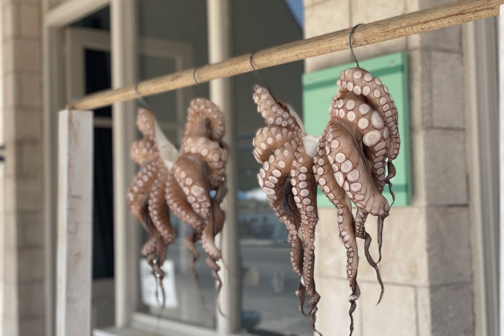 Octopuses hung from a pole to dry outside a taverna, tentacles down, a green shutter behind